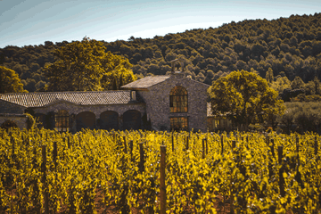Tour de France des vins rosés