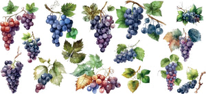 Differentes grapes de raisin pour le vin
